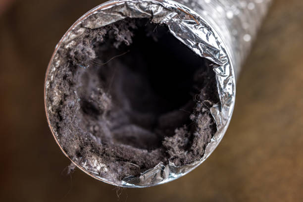 Best Air Duct Cleaning Near Me  in Hillsborough, NC